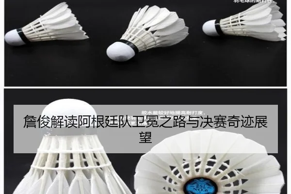 詹俊解读阿根廷队卫冕之路与决赛奇迹展望